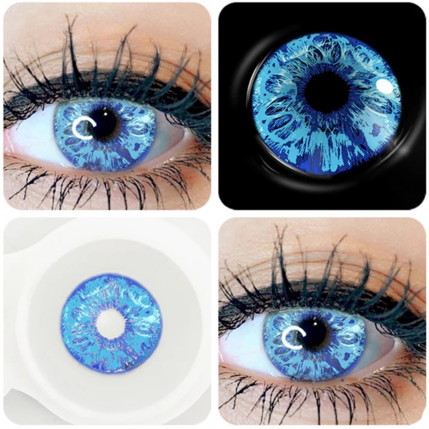 Gojo satarou by Gemini - cosplay contact kit(yearly)